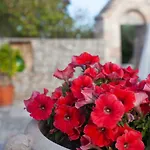 Trullo Siamese