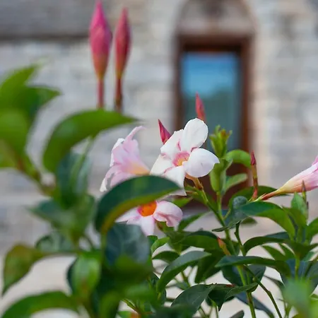 Trullo Siamese Ferienhaus