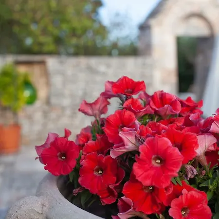 Trullo Siamese