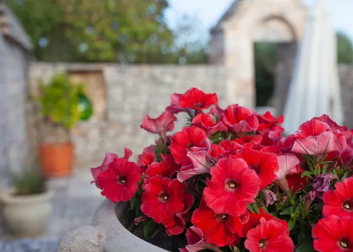 Trullo Siamese