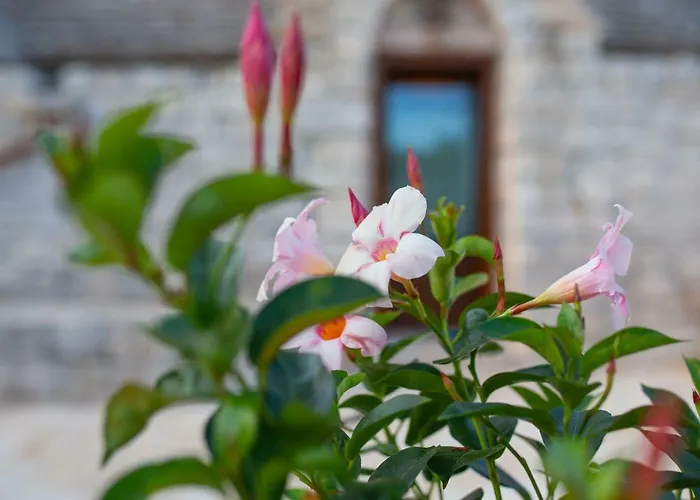 Trullo Siamese Casa de Férias